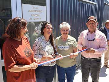 Primer laboratorio apícola de la región impulsa innovación y adaptación al cambio climático