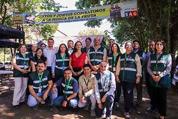 Campaña contra la mosca de la fruta avanza hacia su erradicación en Malloa